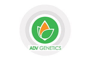 ADV Genetics - Dysrtrybutor TopNasiona.pl ADV Genetics - Dysrtrybutor TopNasiona.pl