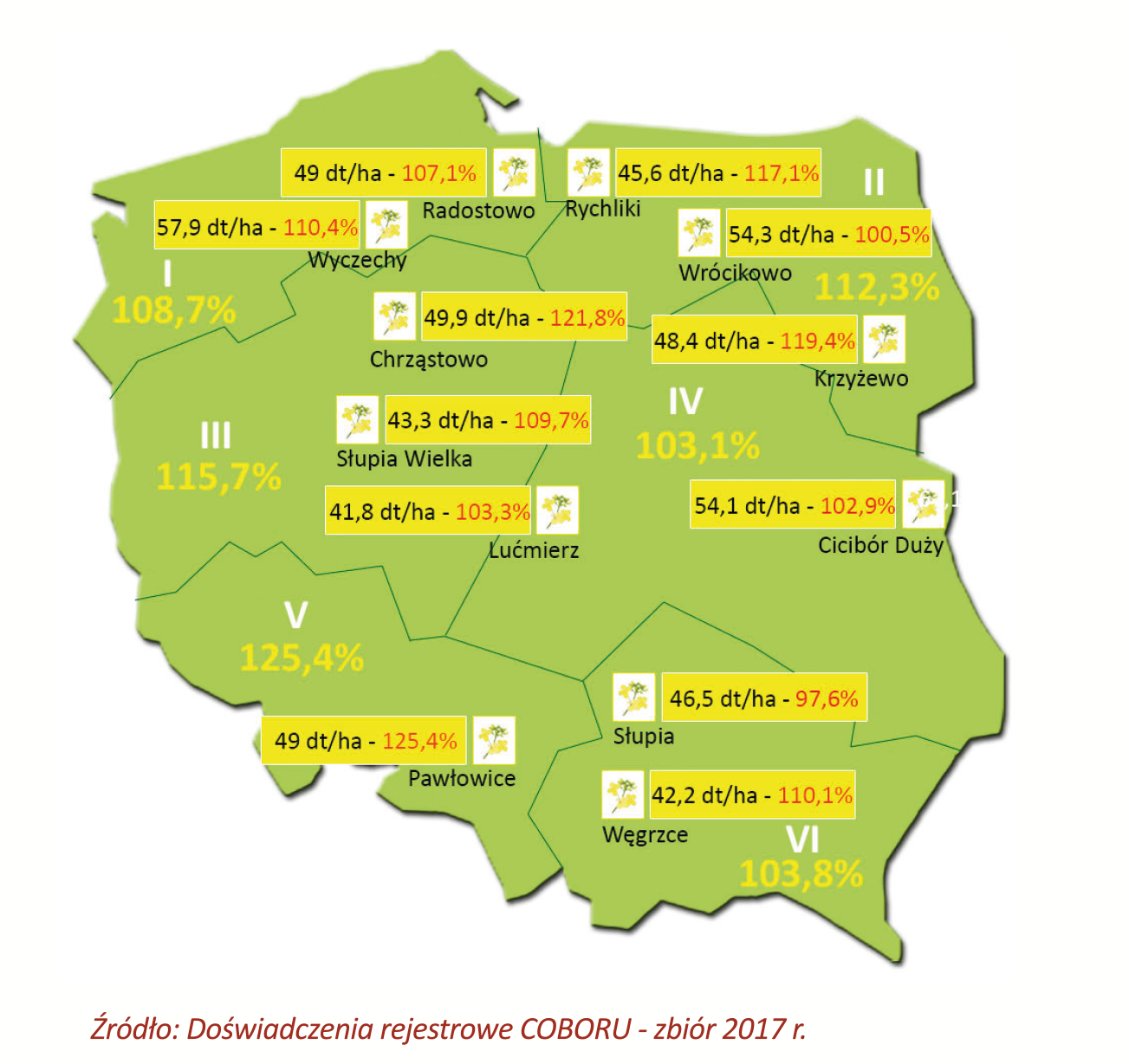 MEMORI CS odmiana populacyjna nowej generacji. Wszystko na topnasiona.pl