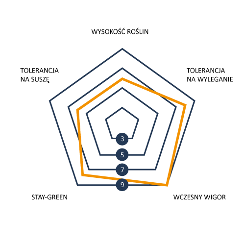 Profil_agronomiczny_MAS250F_kukurydza