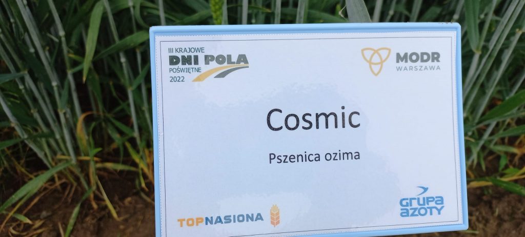Cosmic poświętne 2022